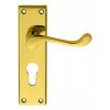 Victorian Scroll Lever On Euro Lock Backplate - Polished Brass