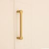 Tulip Pull Handle 165mm Satin Brass