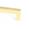 Polished Brass Albers Pull Handle - Large