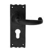 Traditional Lever On Euro Lock Backplate - Black Antique