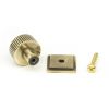 Aged Brass Judd Cabinet Knob - 25mm (Square)