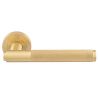 Syntax Lever On Round Rose  - Satin Brass