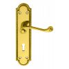 Georgian Lever On Shaped Lock Backplate - Polished Brass