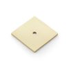 Alexander & Wilks - Bullion Square Backplate - Satin Brass PVD